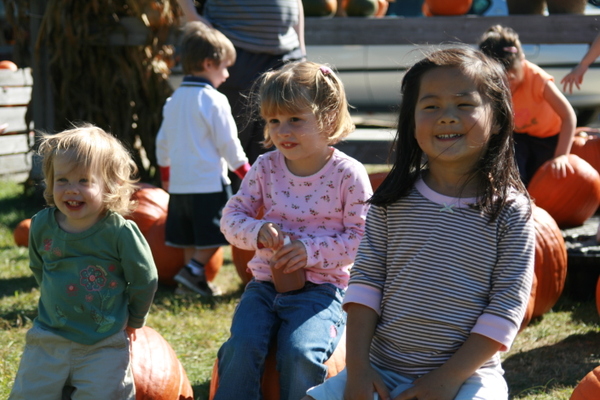 3girlsonpumpkins