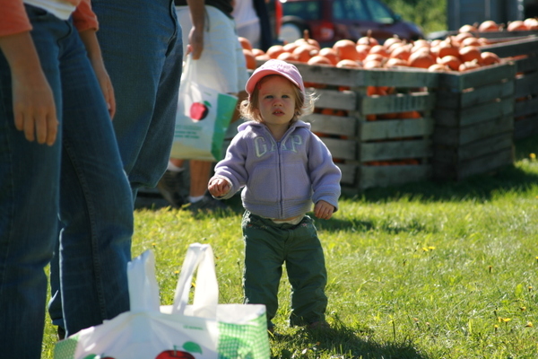 Tessstandingbypumpkins