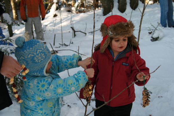 Gracewviolethangpinecones